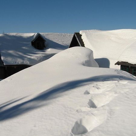 Heidi'S Schlummerkiste Am Fuss Der Teichalm Breitenau am Hochlantsch エクステリア 写真