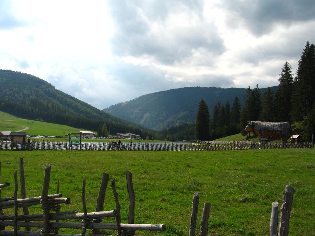 Heidi'S Schlummerkiste Am Fuss Der Teichalm Breitenau am Hochlantsch エクステリア 写真