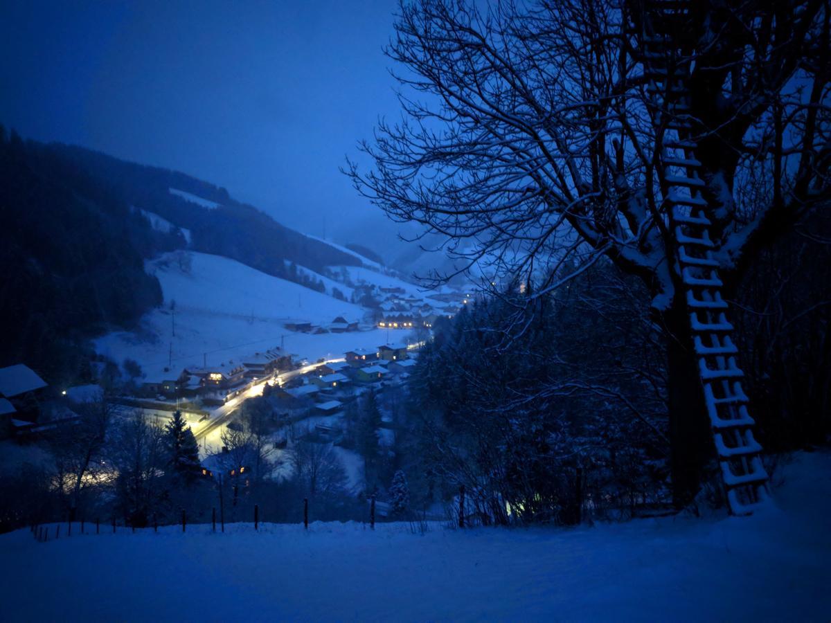 Heidi'S Schlummerkiste Am Fuss Der Teichalm Breitenau am Hochlantsch エクステリア 写真