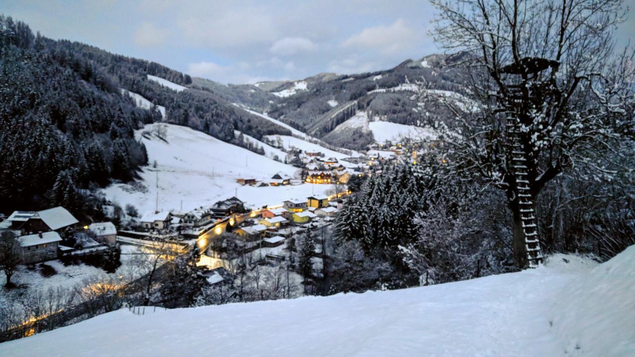 Heidi'S Schlummerkiste Am Fuss Der Teichalm Breitenau am Hochlantsch エクステリア 写真